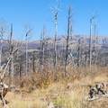 400 Soubry - Photo 4