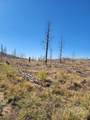 400 Soubry - Photo 8