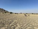 TBD 40AC Las Animas Ranch - Photo 17