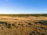 TBD Cr 521 Majors Ranch Phase 2 40 - Photo 10