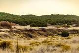 TBD Cr 521 Majors Ranch Phase 2 40 - Photo 2