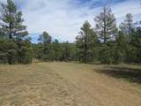 14200 Pine Drive - Photo 1