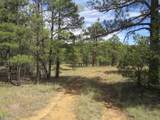 14200 Pine Drive - Photo 10