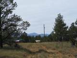 14200 Pine Drive - Photo 2