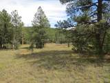 14200 Pine Drive - Photo 3