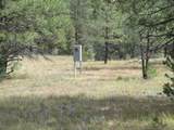 14200 Pine Drive - Photo 4