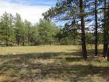 14200 Pine Drive - Photo 5