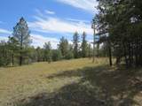 14200 Pine Drive - Photo 6