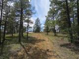 14200 Pine Drive - Photo 7