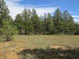 14200 Pine Drive - Photo 8