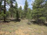 14200 Pine Drive - Photo 9