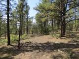 14201 Aspen Drive - Photo 10