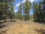 14201 Aspen Drive - Photo 11
