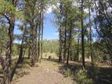 14201 Aspen Drive - Photo 12