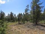 14201 Aspen Drive - Photo 15