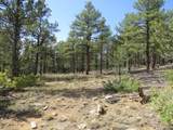 14201 Aspen Drive - Photo 16