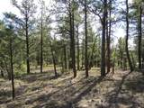 14201 Aspen Drive - Photo 17