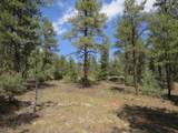 14201 Aspen Drive - Photo 19