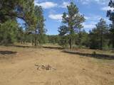 14201 Aspen Drive - Photo 2