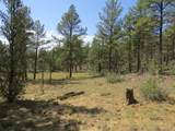 14201 Aspen Drive - Photo 20