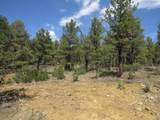 14201 Aspen Drive - Photo 21