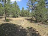 14201 Aspen Drive - Photo 3