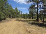 14201 Aspen Drive - Photo 4