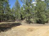 14201 Aspen Drive - Photo 5