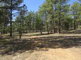 14201 Aspen Drive - Photo 6