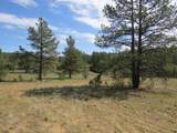 14201 Aspen Drive - Photo 7