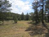 14201 Aspen Drive - Photo 8