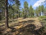 14201 Aspen Drive - Photo 9