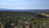 000 County Rd 53.5 - Photo 10