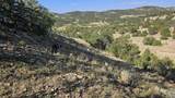 000 County Rd 53.5 - Photo 23