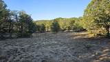 000 County Rd 53.5 - Photo 49