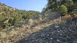 000 County Rd 53.5 - Photo 5