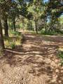 21547 Ridge Line Drive - Photo 11