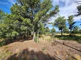 21547 Ridge Line Drive - Photo 14