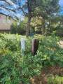 21547 Ridge Line Drive - Photo 2