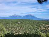 21547 Ridge Line Drive - Photo 4