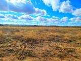 872 Loma Drive - Photo 5