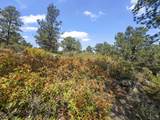 13490 Big Pine Ridge Rd - Photo 10