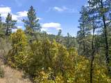 13490 Big Pine Ridge Rd - Photo 11