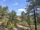 13490 Big Pine Ridge Rd - Photo 13