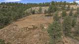 13490 Big Pine Ridge Rd - Photo 15