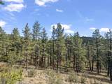 13490 Big Pine Ridge Rd - Photo 2