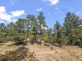 13490 Big Pine Ridge Rd - Photo 20