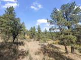 13490 Big Pine Ridge Rd - Photo 21