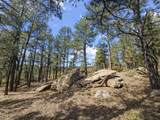 13490 Big Pine Ridge Rd - Photo 3