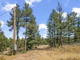 13490 Big Pine Ridge Rd - Photo 5